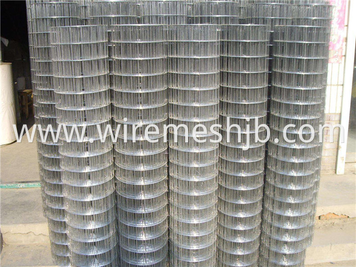 Welded Wire Mesh